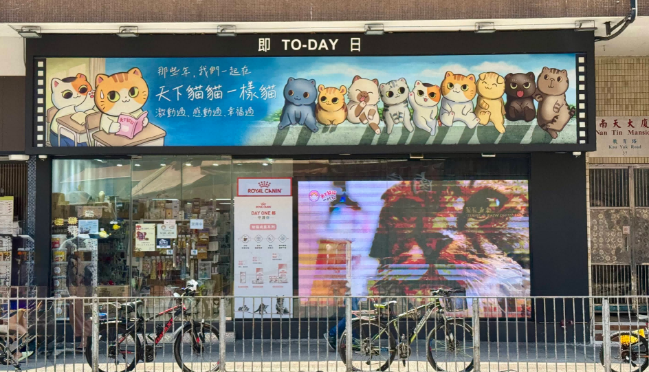 天下貓貓一樣貓（元朗站）