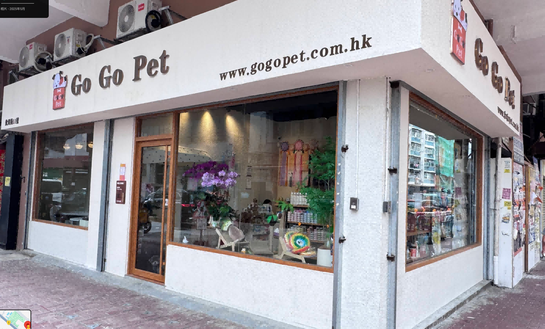 GoGo Pet