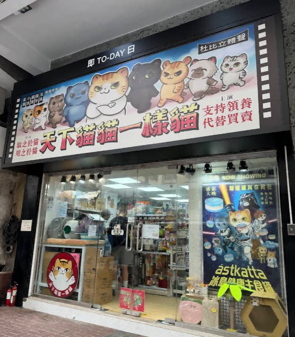天下貓貓一樣貓（太子站）